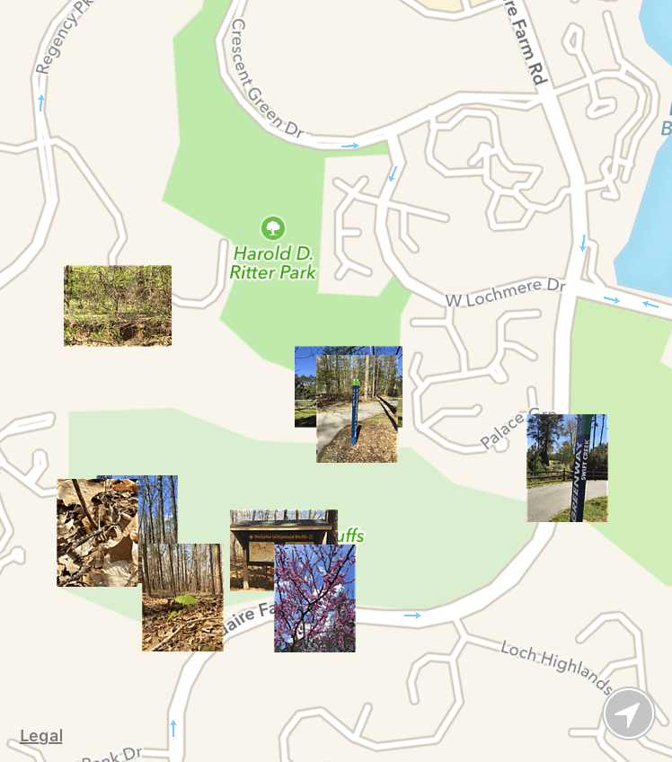 Cary Parks App Screen.png