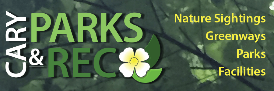 cary-parks-and-rec-banner.png